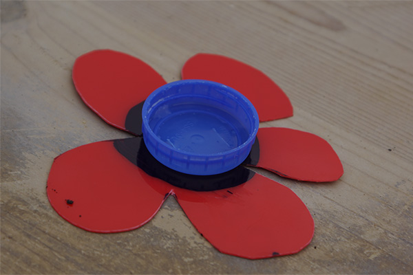 DIY--Butterfly-Drinker-step-3-wildspace