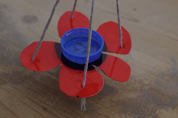 DIY--Butterfly-Drinker-step-5-wildspace