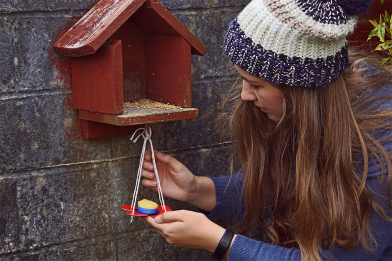 DIY--Butterfly-Drinker-wildspace