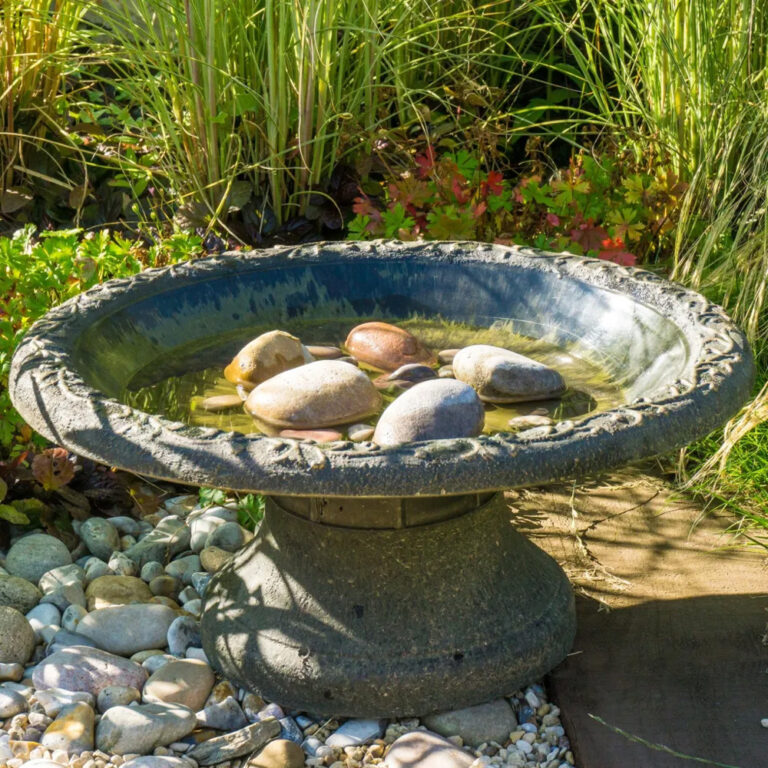 World-of-bird baths-wildspace-project