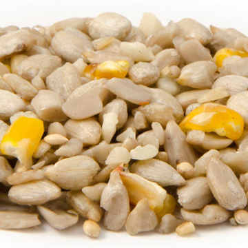 complete-bird-guide-no-mess-mix-wildspace-project