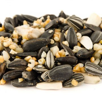 complete-bird-guide-regular-seed-mix-wildspace-project