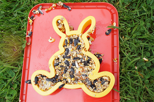 diy-fat-cakes-food-shot-mould-wildspace-project