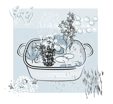 diy-micro-pond-step-five-wildspace-project