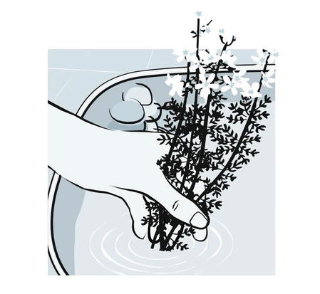 diy-micro-pond-step-four-wildspace-project