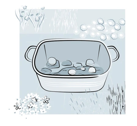 diy-micro-pond-step-one-wildspace-project