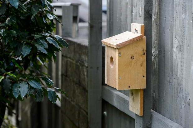 diy-nest-box-wildspace-projects