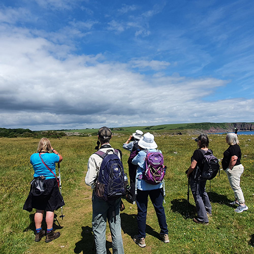 community-wildspace-projects-image-group