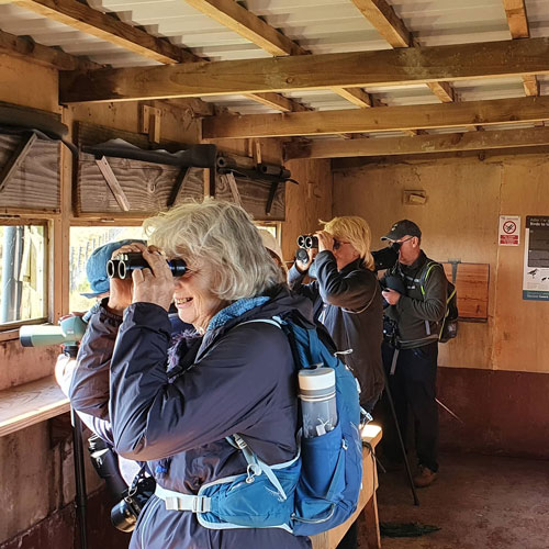 wild-experiences-trips-wildspace-projects