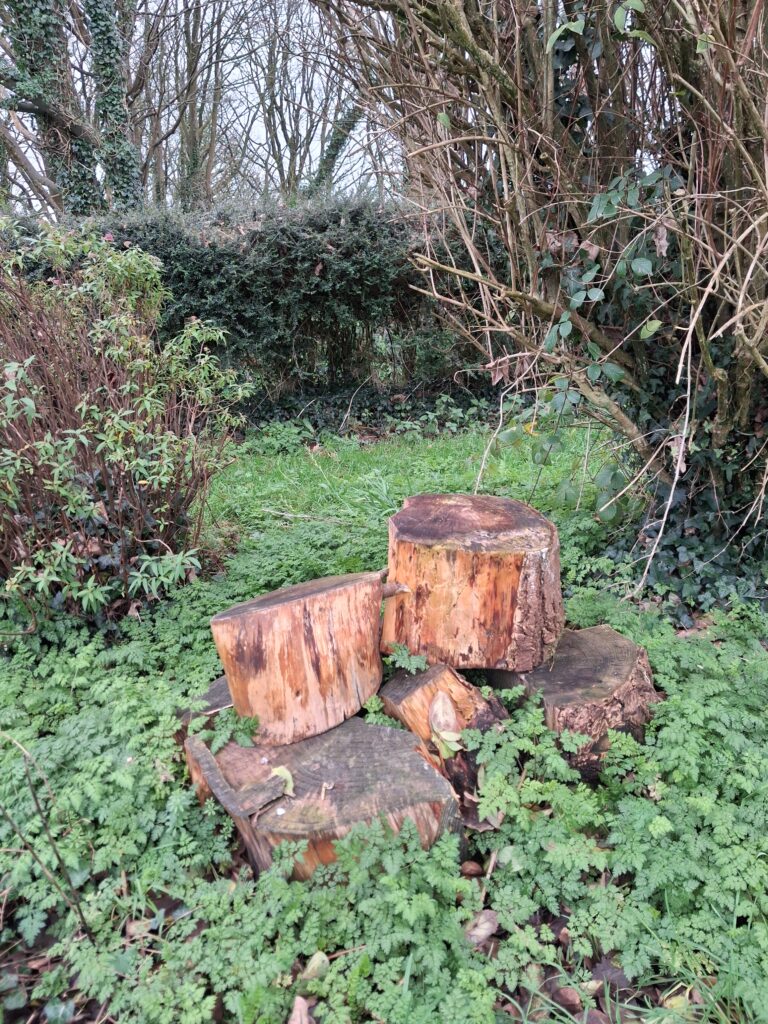 Log pile in a garden helping wildlife 