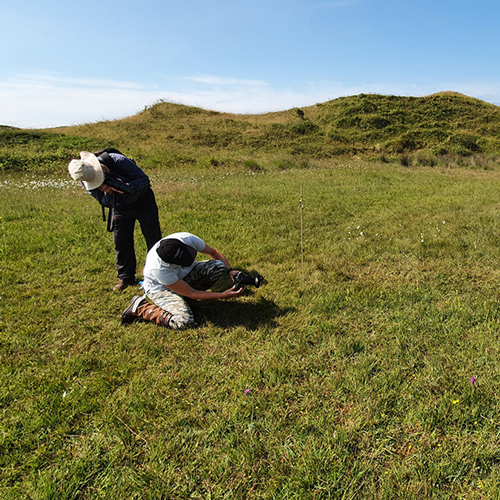 wild-experience-photography-wildspace-project-square