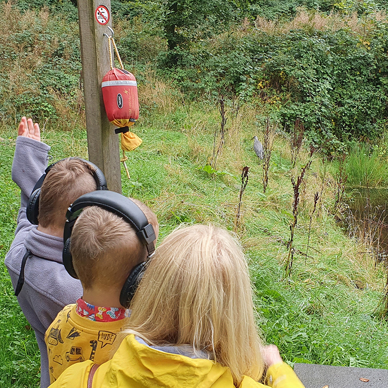 wildlife-walks-wildspace-project