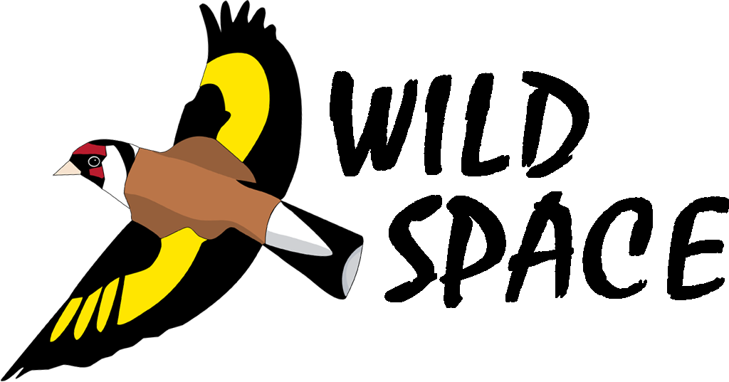 wildspace-logo