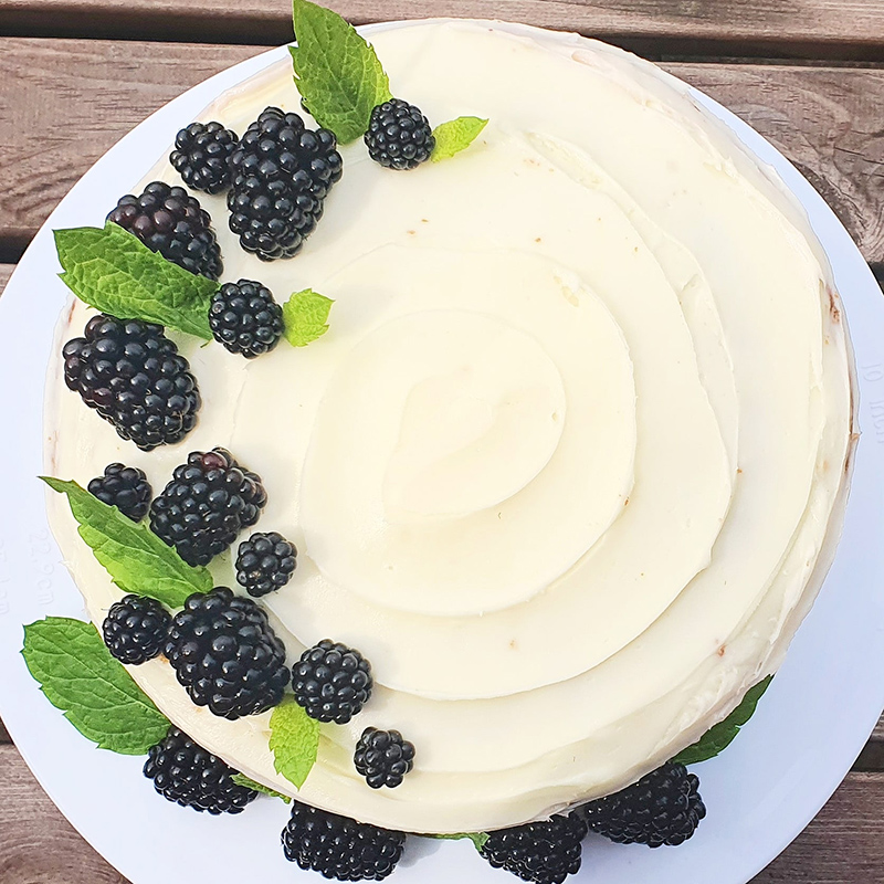 wildspace-project-cake-from-nature