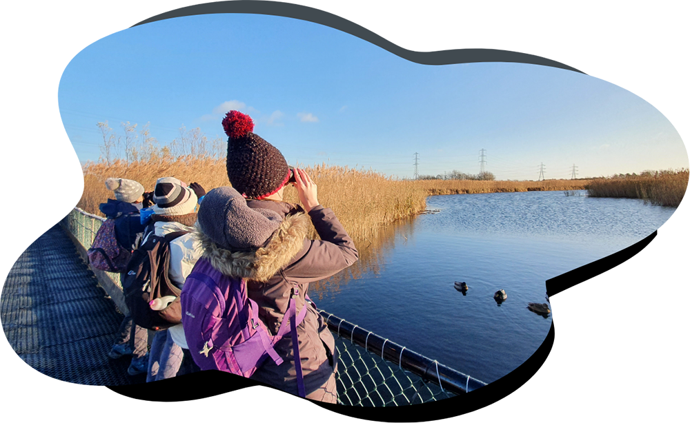 wildspace-project-wild-experiences-nature