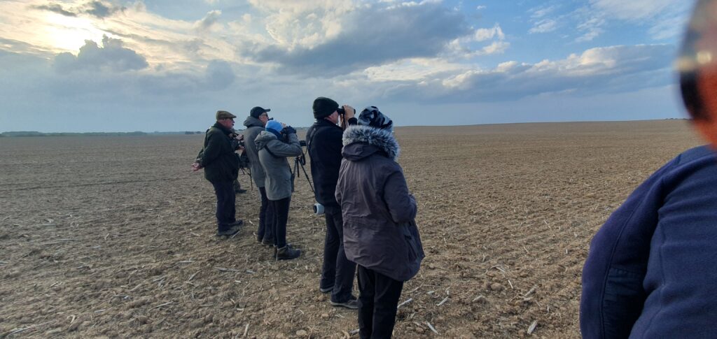 Birdwatchers on a Wildspace Tour standing looking out across a field