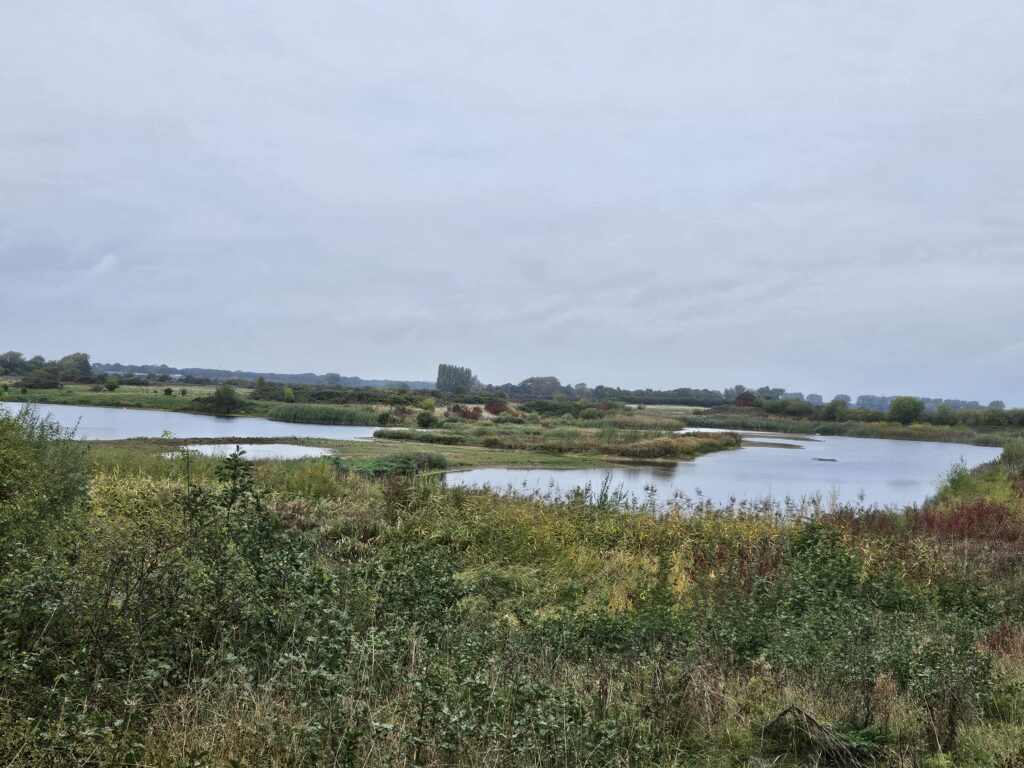 View of North Cave in Yorkshire, green hedges and large ponds
