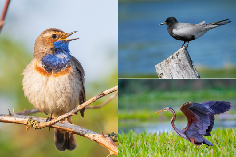 Tours for Two: Texel in Spring