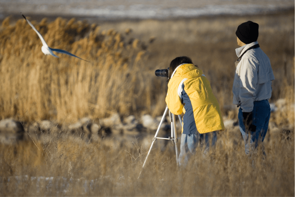 2 people watching a bird whilst celebrating on their anniversary wildlife tour